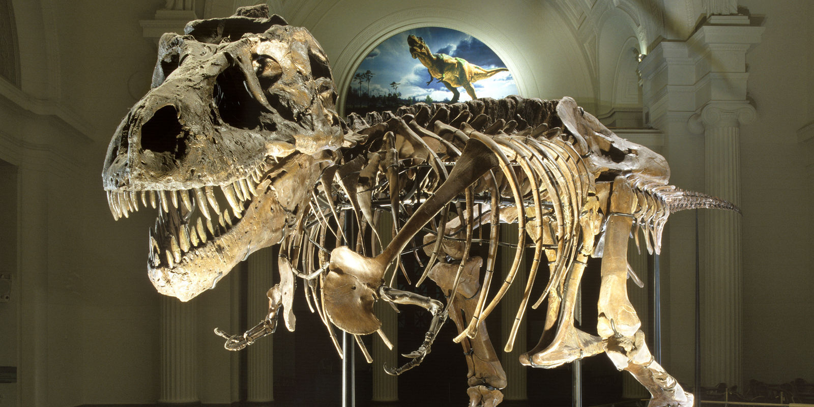 South Shore Excursions: Museum Campus, 11th St.